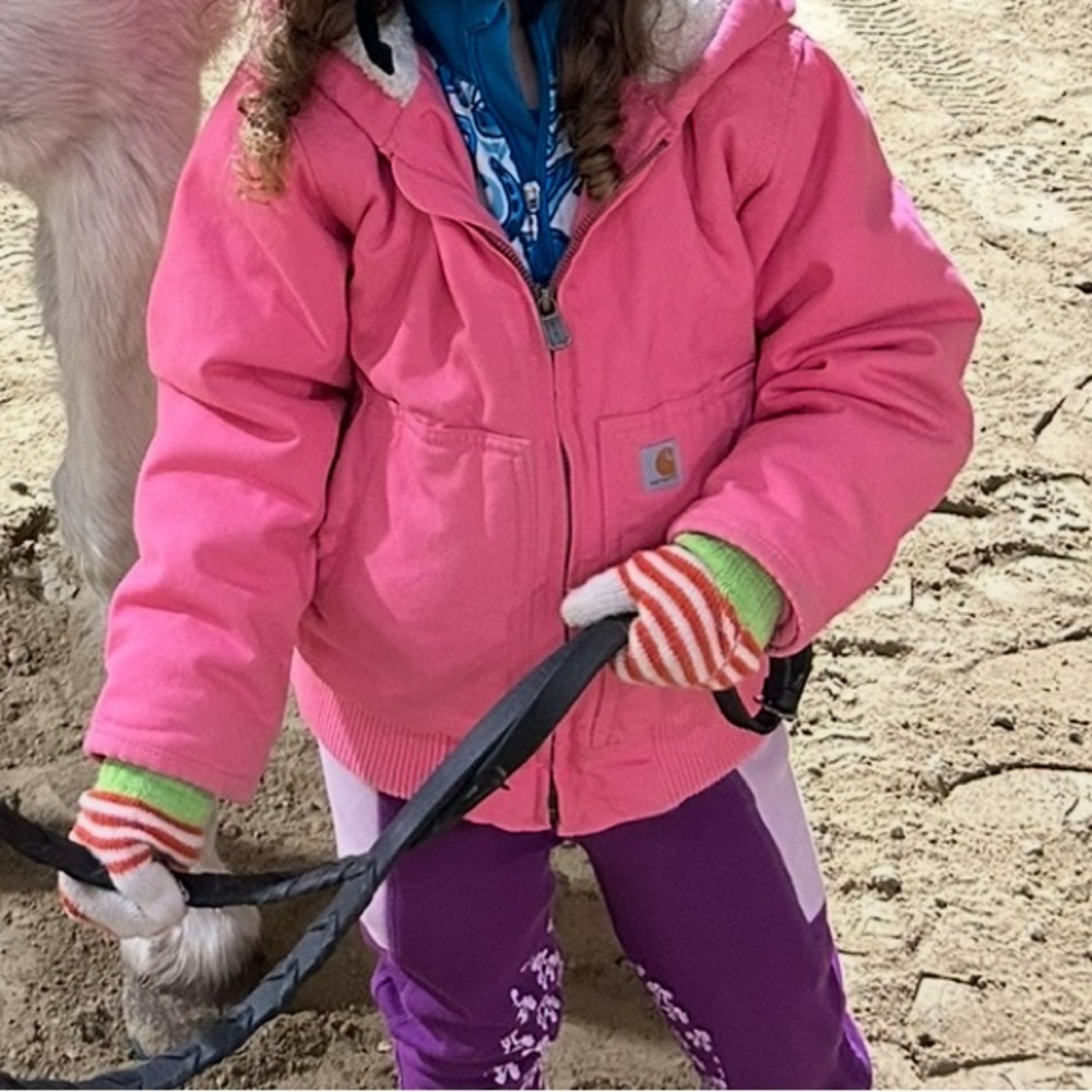 Carhartt Pink Hooded Jacket